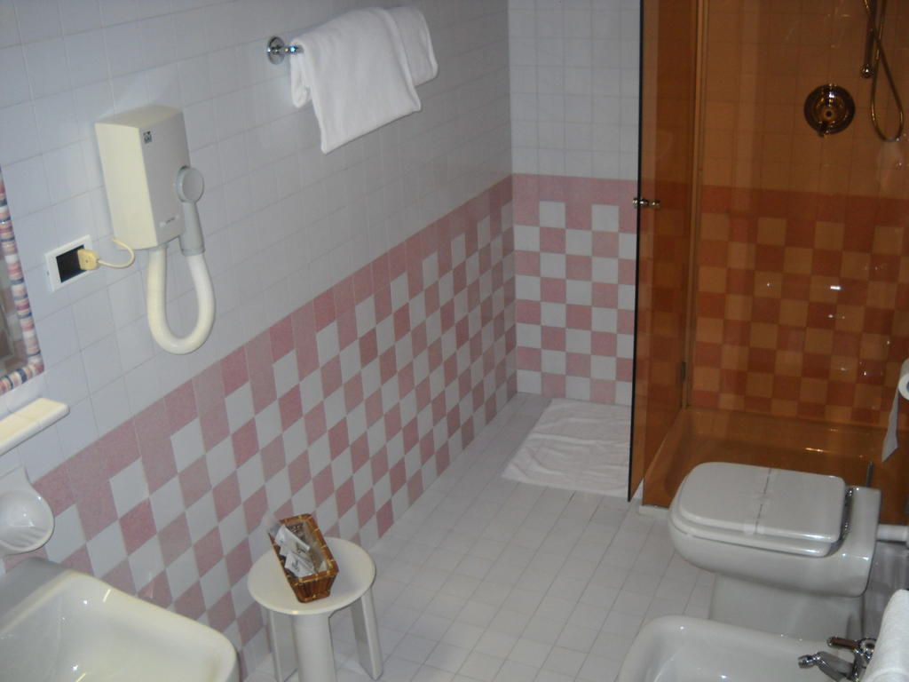 Hotel Faccioli Valeggio sul Mincio Rum bild